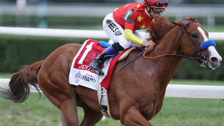 Report: Triple Crown Winner Justify Failed Drug Test Ahead Of Kentucky Derby